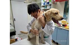 狗狗檢查後並無外傷