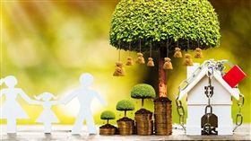 名家專用/MONEY錢(勿用)