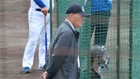 ▲張本勳認為日本隊複賽唯一對手是韓國隊（圖／翻攝自推特）