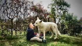 名家／愛你寵物網loveupets（勿用）