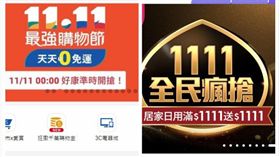 雙11 圖/合成照