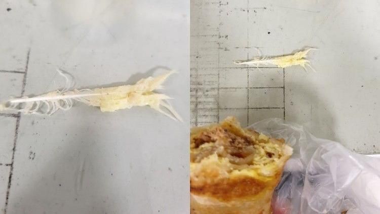 鮪魚蛋餅吃一半卡住　下秒竟拉出羽毛