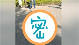 腳邊驚見駭人畫面「嚇到閃尿」！　網笑：哈利波特在附近