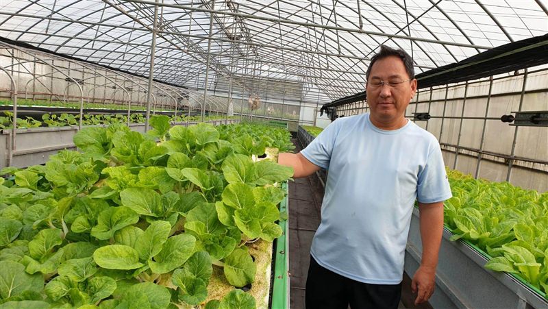 退休工程師　推魚菜共生採紅菱免划船
