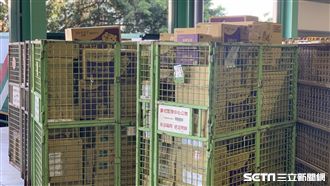 直擊／雙11靠這招下訂到出貨十分鐘