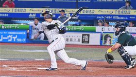 ▲12強日本隊鈴木誠也（圖／記者王怡翔攝）