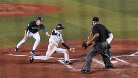 ▲12強日本隊周東佑京得到追平分（圖／記者王怡翔攝）