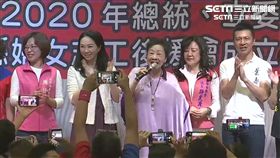 李佳芬稱小學教「肛交、性高潮」