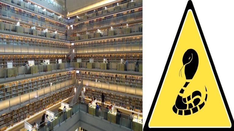 政大最美圖書館是毒蛇窟！生反應笑歪