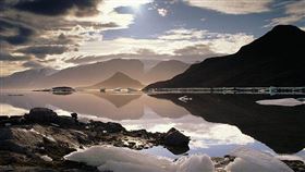 名家／草根（勿用）