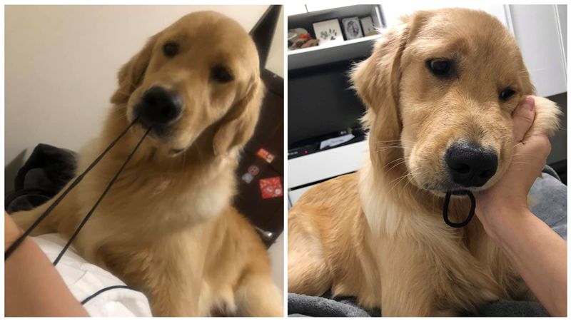 阿金拉髪圈到極限　馬麻嚇：不准鬆口