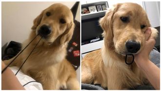 阿金拉髪圈到極限　馬麻嚇：不准鬆口