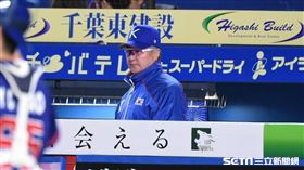 ▲世界棒球12強賽金卿文韓國隊崔一彥。（圖／記者王怡翔攝影）