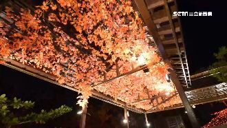 4天湧萬人！屏東四重溪楓紅若仙境