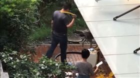 台中,虐狗,水管,狗鍊,肉搜