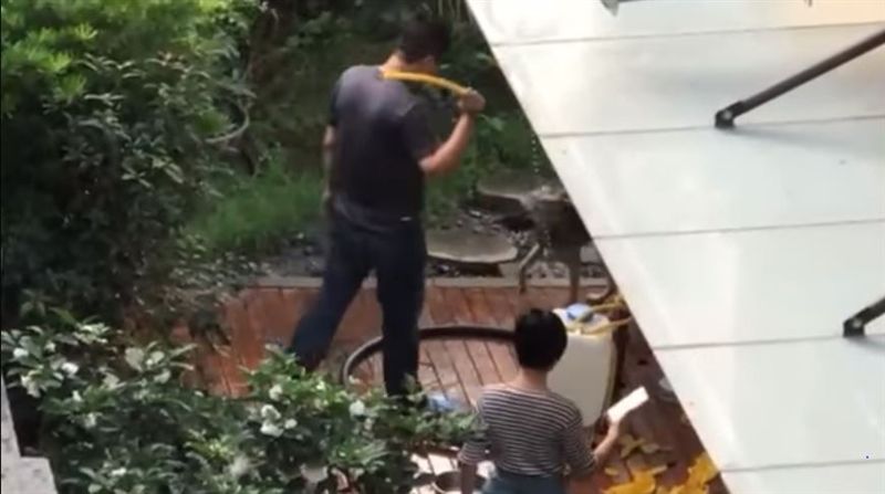 虐狗？男無情狗鍊鎖喉、水管狠抽爆打