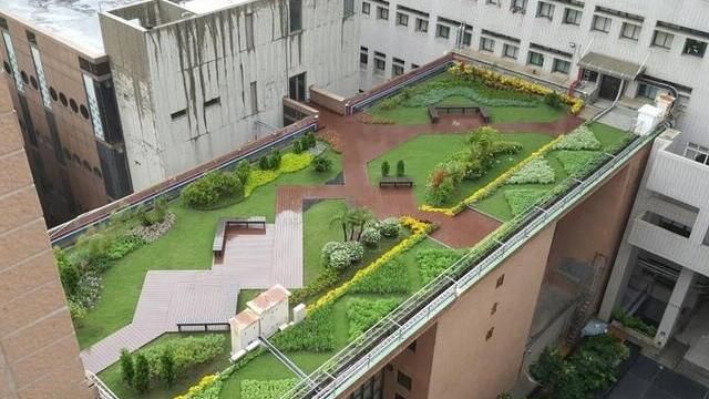 台中市府擴大推動「綠能屋頂」示範區