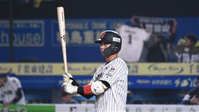 12強日本隊山田哲人13日對戰墨西哥一役擔任第1棒一壘手。（圖／記者王怡翔攝影）