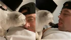 奴才舔貓。（圖／翻攝自推特用戶@ColtonCarlyle）