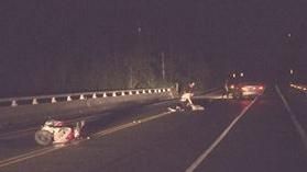 台東縣，牛，車禍，國家賠償，議員