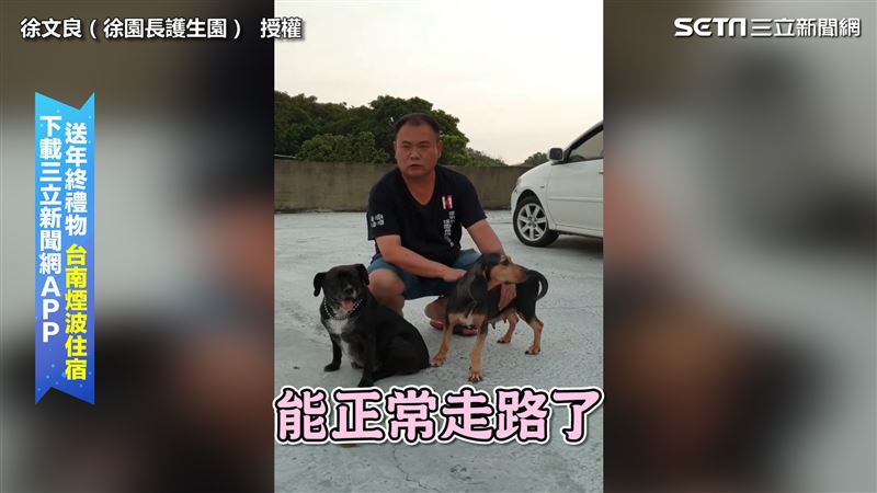 恁老木「腳」賀啊！　瘸腿汪成功痊癒