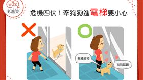 名家／毛起來（勿用）