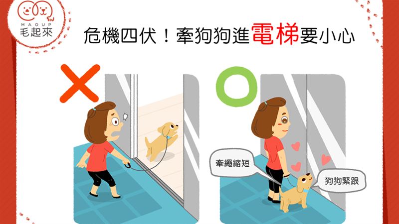 帶狗狗進電梯別大意！當心人狗兩隔