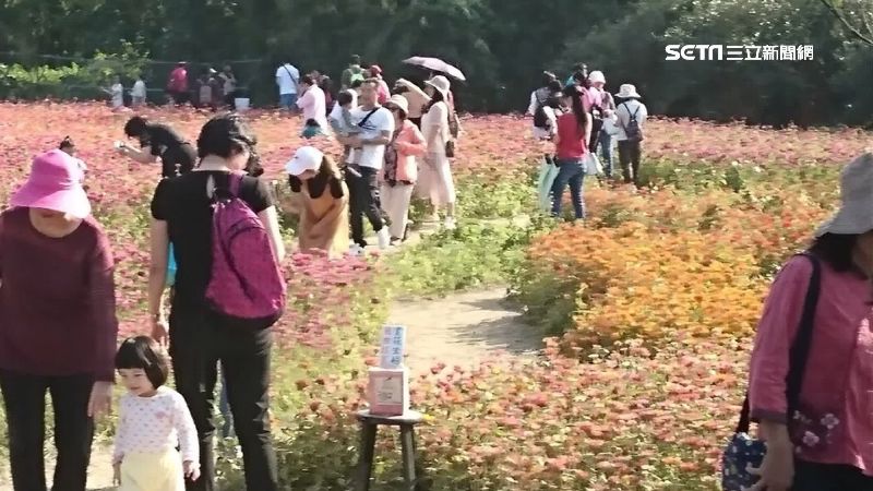 公德心何在？花彩節被踩出一塊禿地