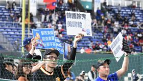 ▲12強中、美戰，球迷自製韓國輸完美國輸標語。（圖／記者王怡翔攝影）