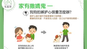 名家／毛起來（勿用）