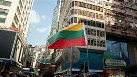 ▲香港反送中運動，10月20日九龍大遊行。示威現場出現多國國旗，圖為立陶宛國旗。（圖／駐香港特約記者王志杰攝影）