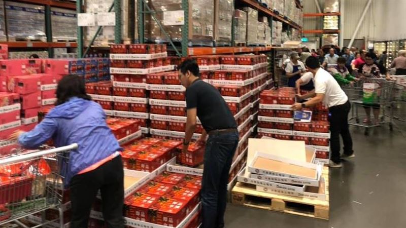 好市多黑色購物節明開跑！可省20萬