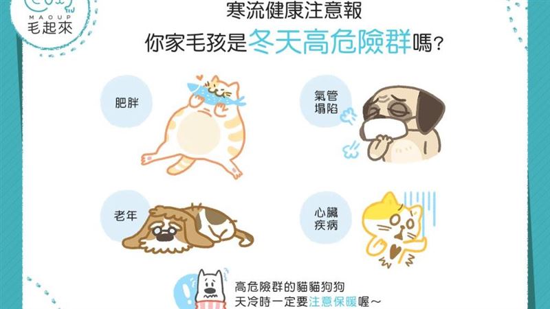 注意！你家毛孩是冬天的高危險群嗎？