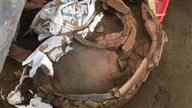 花蓮花岡山下水道工程　發現史前甕棺（2）花蓮縣花岡山污水下水道工程開挖過程中發現的史前甕棺，體積相當大，推測年代為約3000年前花岡山文化時期，與台東卑南文化同期。（花蓮縣文化局提供）中央社記者李先鳳傳真　107年6月22日