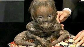 河童標本(百度百科)