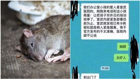 不只2人染鼠疫？陸官方疑封鎖消息　北京醫護人員對話流出（圖／翻攝自小妹防爆團臉書）