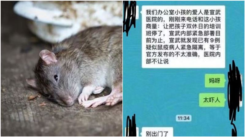 鼠疫不只內蒙古！北京醫護員對話流出