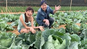 主持人與巨無霸高麗菜。