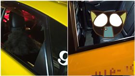 深夜開計程車！他聽後座傳怪聲…回頭見「黑影」嚇：見鬼了（圖／翻攝自爆怨公社）