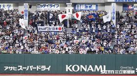 ▲世界棒球12強賽日本隊旭日旗韓國隊。（圖／記者王怡翔攝影）