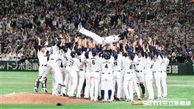 ▲日本隊世界棒球12強賽冠軍稻葉篤紀韓國隊。（圖／記者王怡翔攝影）