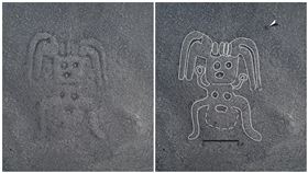 日本山形大學團隊研究，秘魯納斯卡線，圖案，（圖／翻攝自山形大學官網）