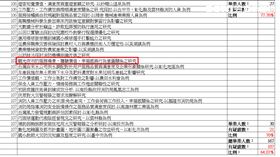 中洲科技大學 夜市論文