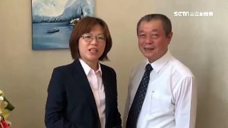 綠營、時力同出征！綠鐵票區恐送藍營