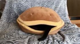 驚見蚌殼精？銅鑼燒竟竄出黑色絨毛條（圖／翻攝自推特）
https://twitter.com/D_isoflavone/status/1196000785445744640