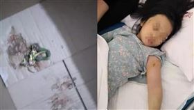 中國,竹葉青蛇,毒蛇,玩具箱,咬傷（圖／翻攝自泉州通）