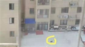 大陸,高空拋物,橫禍,安全,墜物