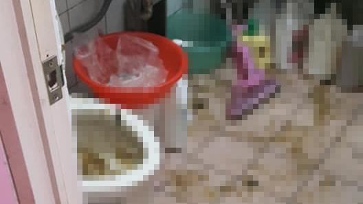 管路阻塞「馬桶爆炸」滿地糞水超慘烈