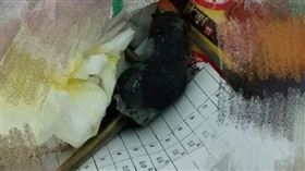 老鼠,垃圾桶,洗衣機,熱縮套,鼠屍(爆怨公社)