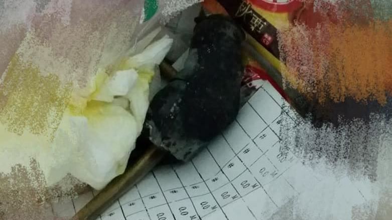 垃圾桶驚見鼠屍！她戳一下…驚覺被騙